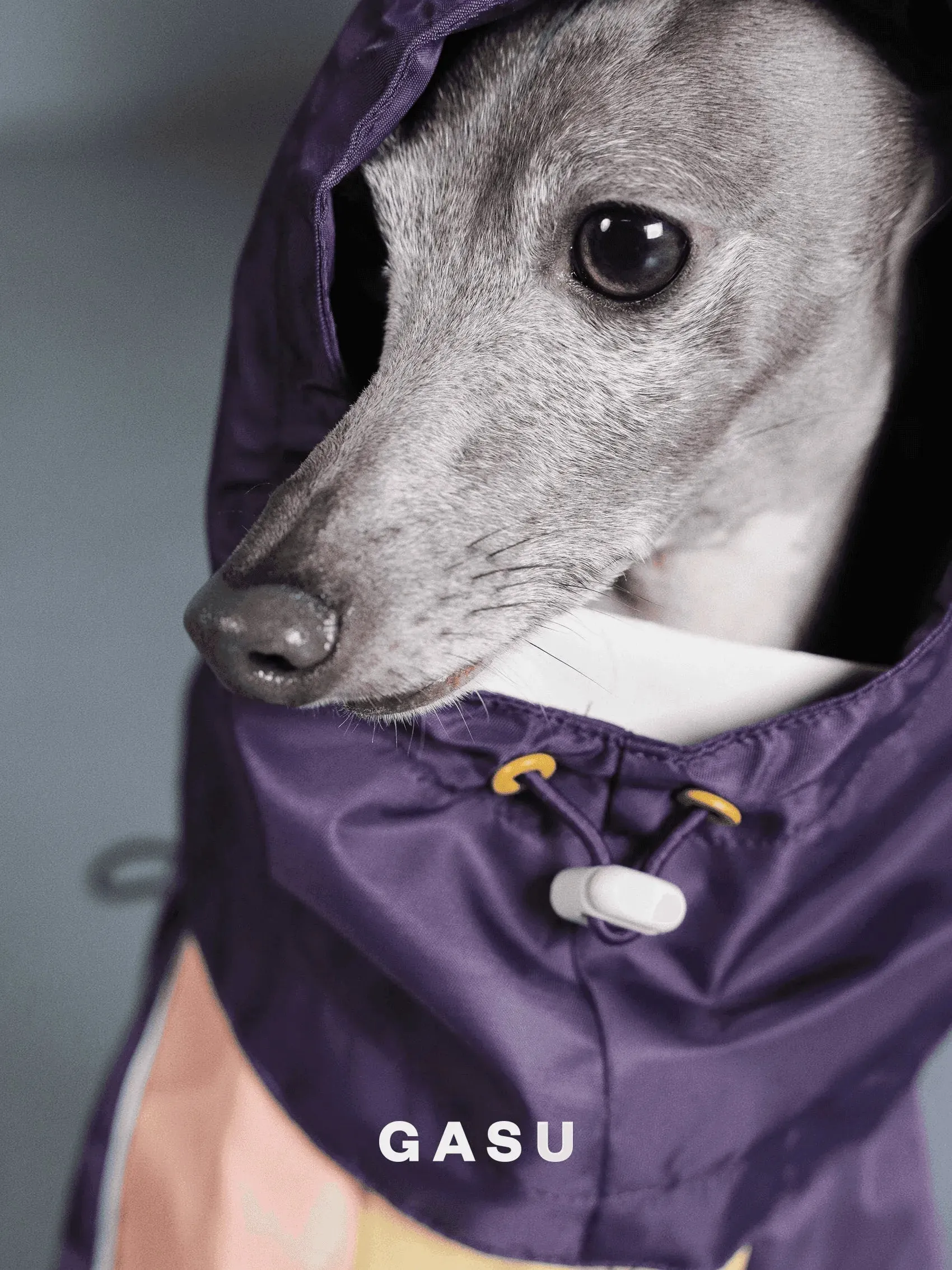 Detachable 4-Leg Dog Raincoat | Peach Khaki