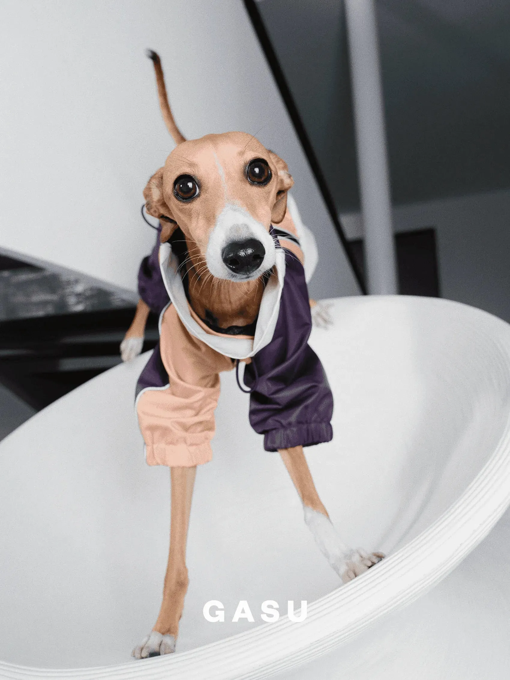 Detachable 4-Leg Dog Raincoat | Peach Khaki
