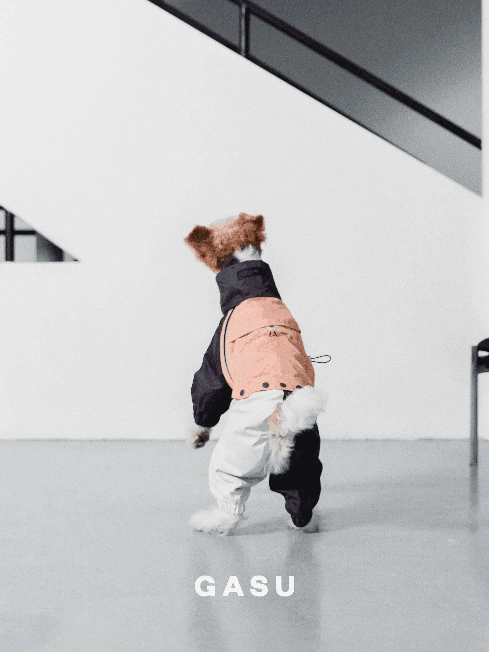 Detachable 4-Leg Dog Raincoat | Peach Khaki