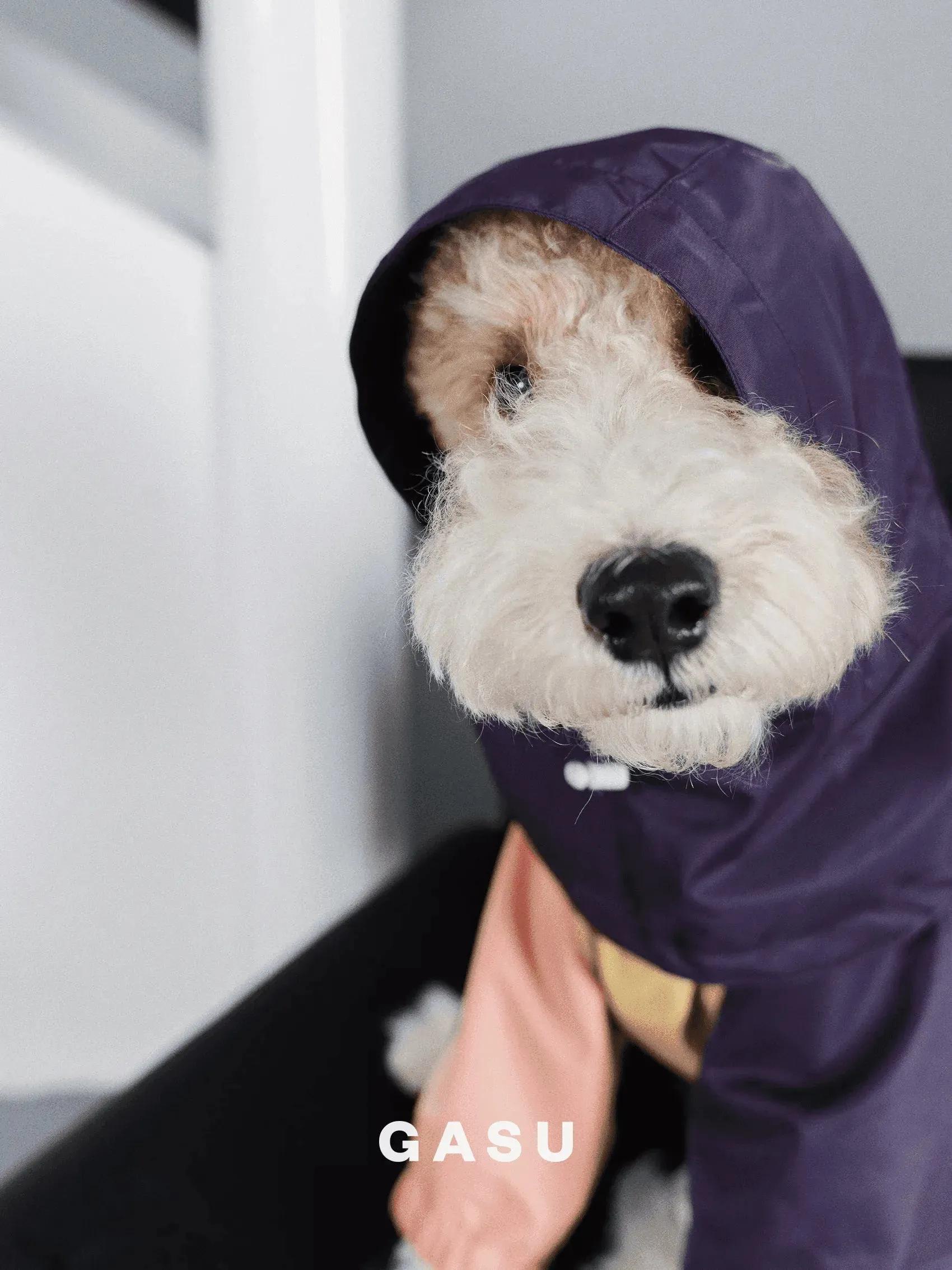 Detachable 4-Leg Dog Raincoat | Peach Khaki